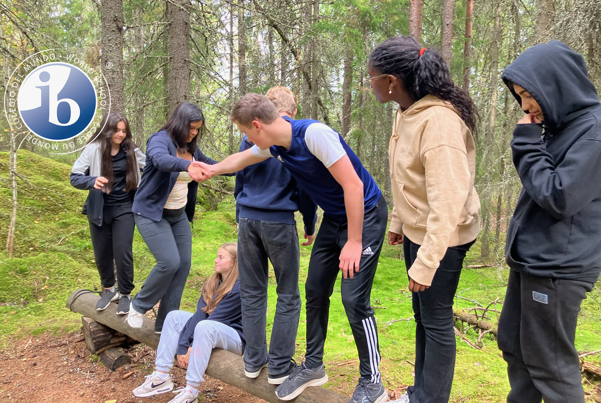 Eleverna balanserar på en trädstam i skogen