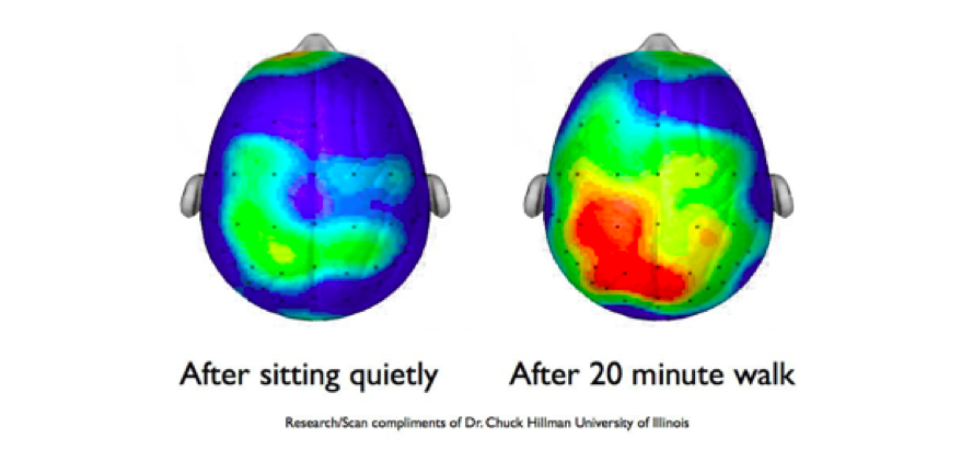 Active learning - brain illustration before and after a walk. compliments of Dr Chuck Hillman. 